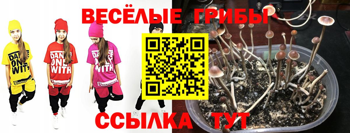 Верхняя Пышма  Галлюциногенные грибы мухоморы  Вход с VPN 