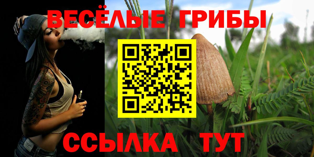 Галлюциногенные грибы MAGIC MUSHROOMS Верхняя Пышма